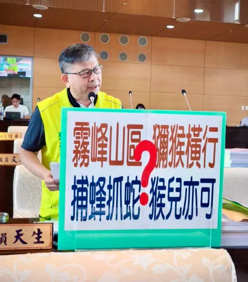 霧峰山區猴患肆虐　議員要求市府專案抓猴
