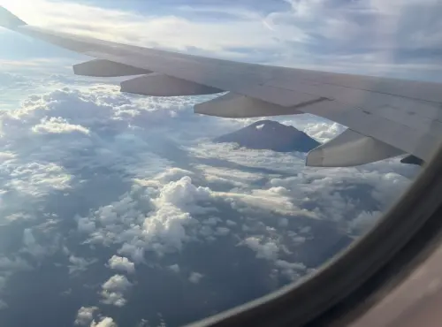 飛機起降為何要打開遮陽板？機師揭「2關鍵」：可保命