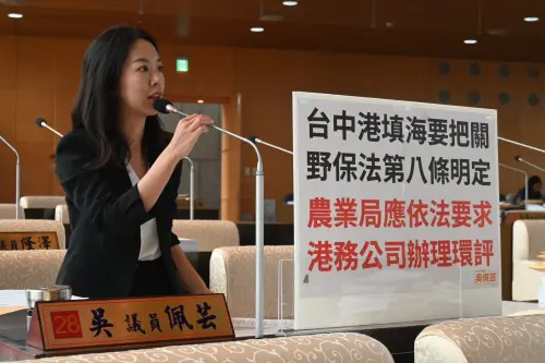 臺中港土石方填海造陸恐危及白海豚　議員要求中市府強制環評