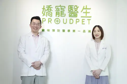 特企／胖貓別只少吃！獸醫揭5大體控難題，維持肌肉才是關鍵