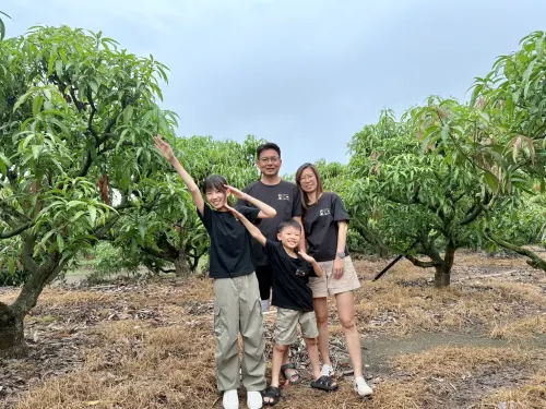 電農計畫顧問點醒行銷盲點 阿鳳ㄟ檨仔樹從屏東枋山到日韓法餐桌