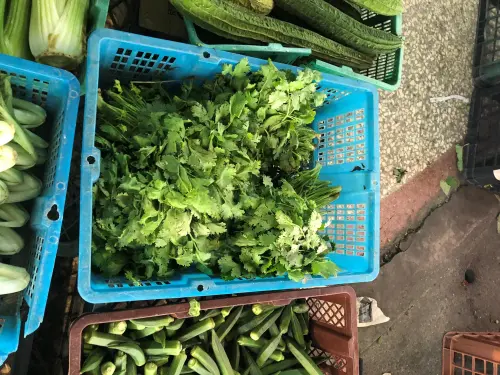 香菜農藥超標51倍！北市公布不合格蔬果名單　荔枝、白蘿蔔都上榜