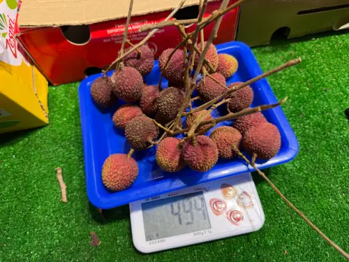 ▲台北市衛生局表示，有玉荷包被驗出含有依法不得檢出的禁藥成分。（圖／台北市衛生局）