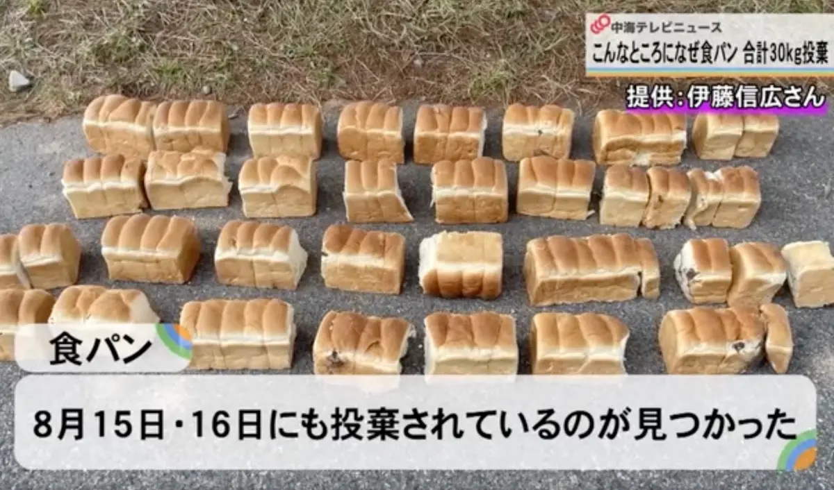 ▲日本鳥取縣「大山隱岐國立公園」近日發生罕見案件。一條貫穿公園的環狀道路旁，連續三天被人棄置大量白吐司麵包，總重量高達28.5公斤。（圖／翻攝自《中海電視放送》）