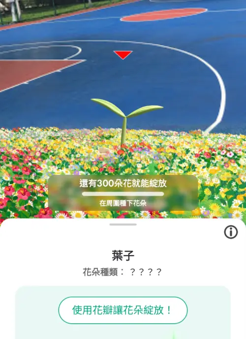 ▲只要在葉子階段的巨大花朵附近種花，就能讓巨大花朵開花。（圖／翻攝自《Pikmin Bloom》）
