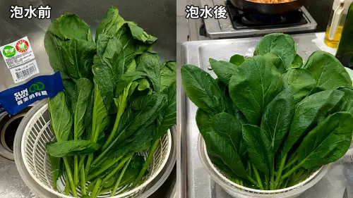 超神復原術！全聯軟爛菜「泡水回春」　驚人變化曝：吃起來更清脆