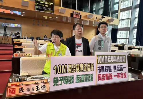 10米巷弄雙黃線不合理　議員要求專案1年搞定
