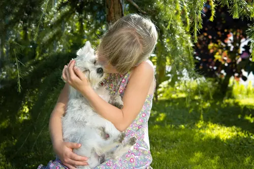 ▲國際狗狗日（International Dog Day）在每年的8月26日，旨在提倡感謝狗狗對人類的無私陪伴與付出，並倡導「領養代替購買」等觀念。（圖／取自pixabay）