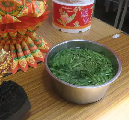 普渡為什麼拜空心菜湯？