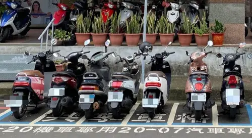 藍白線停車格一堆人停錯！亂停罰1200元、還被拖吊　交通局揭規定