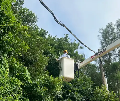 中颱沙德爾發布海警　台電7215人戒備馬祖、山區電力搶修