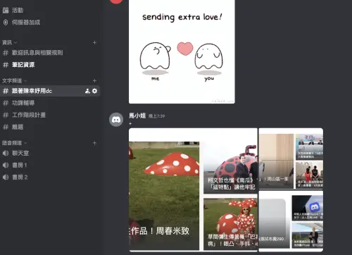 ▲Discord伺服器可依用途建立多個文字及語音頻道，將內容分門別類。（圖／螢幕截圖）