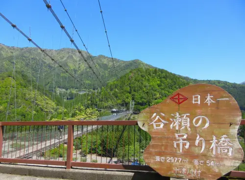 為拍片騎機車硬闖吊橋！日本奈良名景恐被震垮　警方卻無法開罰