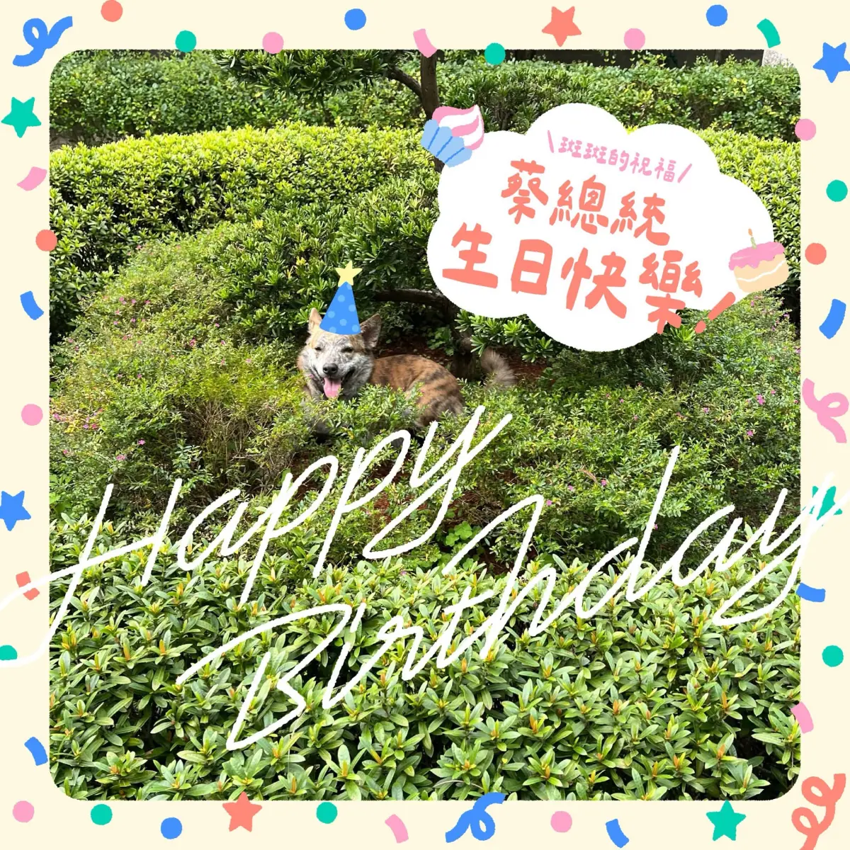 ▲賴清德送上「斑斑生日卡」祝福蔡英文生日快樂。（圖／翻攝自賴清德threads）
