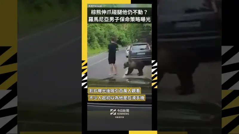 棕熊伸爪碰腿他仍不動？羅馬尼亞男子保命策略曝光
