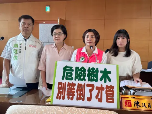 台中路樹成隱形炸彈？　市民走在樹下提心吊膽