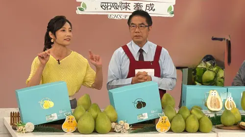 黃偉哲第24度直播行銷台南農產　麻豆文旦40分鐘完售