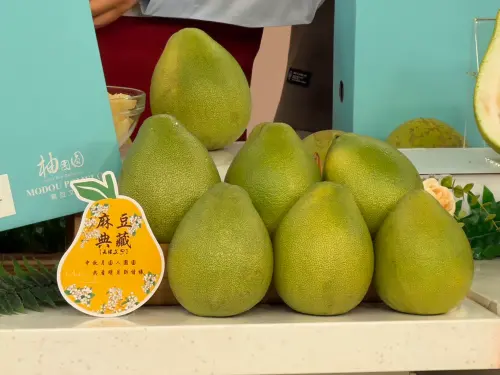 ▲台南麻豆文旦甜度高達13.9度，每盒並具產銷履歷，吸引消費者踴躍下單。（圖／南市府提供）