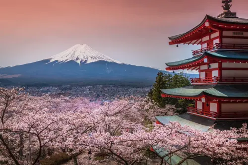 ▲雄獅旅遊攜手日航，推出獨家優惠全航線85折便宜機票。（圖／雄獅旅遊 liontravel.com）