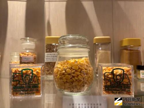 ▲硬質玉米是製造永續航空燃料的核心原料之一。（圖／記者李青縈攝）