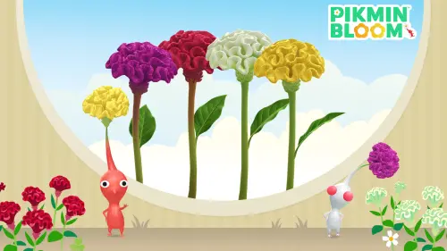 ▲《Pikmin Bloom》9月第3階段接連要求種植白色、紅色及黃色雞冠花，花瓣不足容易卡關。（圖／《Pikmin Bloom》）