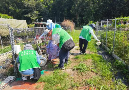 ​雨後清除孳生源　屏縣府籲落實巡倒清刷防登革熱