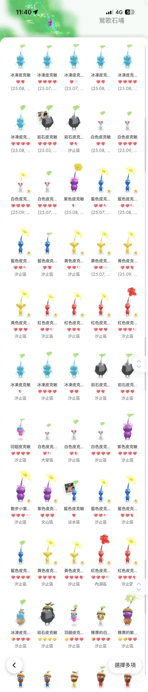 ▲台灣因為地形複雜，各地都有不少被《Pikmin Bloom》標記為「森林」的地點，「鍬形蟲」和「橡栗」皮克敏數量眾多。（圖／《Pikmin Bloom》）