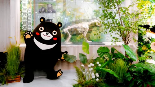 ▲觀光大使「高雄熊」參觀「教育推廣展示區」黑熊骨骼標本。（圖／高市府觀光局提供）