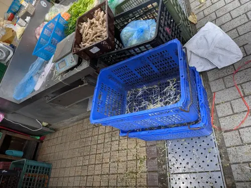 香菜飆200元、豆芽菜被掃光！菜販揭菜價最近貴爆真相：還要貴2週
