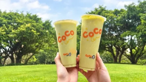 酪梨化身清爽系飲品！手搖飲品牌打造初秋新滋味