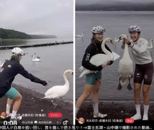 富士山天鵝慘遭「掐脖鎖喉」擺拍！中國女遊客辯：全都是AI合成
