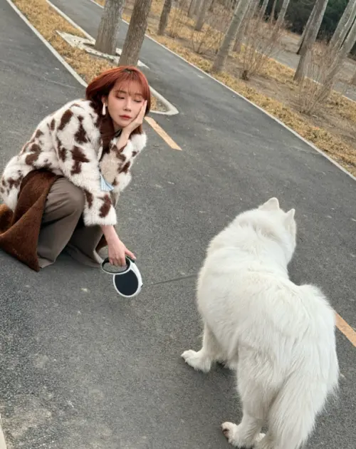 ▲劉戀的愛犬也是薩摩耶，和《早春晴朗》男女主角一起養的寵物一樣。（圖／翻攝自微博＠劉戀MrMiss）