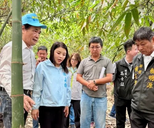 古坑農民心淌血！竹筍腐爛、番石榴落果　張嘉郡促請中央加速救助