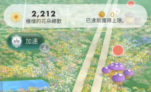 ▲當皮克敏玩家單日累積種植15000朵花時，每天最多可獲得60枚金幣拿滿，種花獎勵在午夜0點前都會顯示為0。（圖／《Pikmin Bloom》）