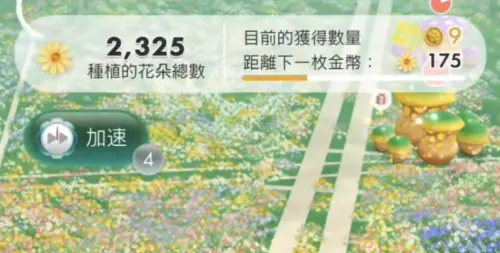 ▲只要玩家利用跨日種花的方式，時間一過午夜0點，該次種花形成的金幣、數量會重新銜接到隔日的額度計算。（圖／《Pikmin Bloom》）
