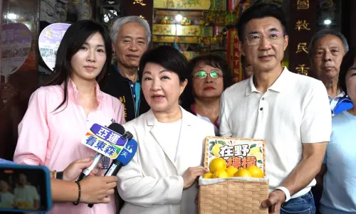 檸檬送出去了！盧秀燕再喊在野大聯盟　警告綠超級大「就會腐敗」