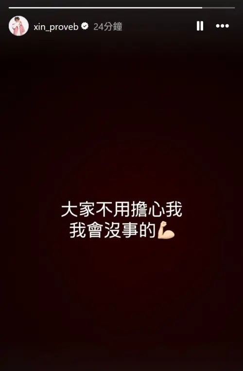 ▲莊昕諺被強襲球打中後送醫，限動親回12字跟球迷報平安。（圖／擷取自莊昕諺IG）