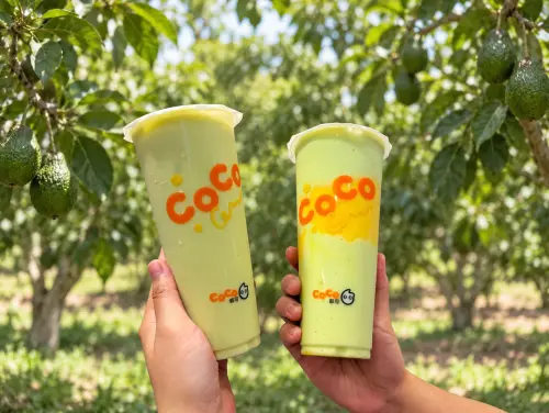 ▲CoCo新品，左起：「酪梨茶牛乳」街邊店大杯79元；「酪梨布布牛乳」街邊店中杯69元／大杯79元。（圖／CoCo都可cocofreshtea.ca）
