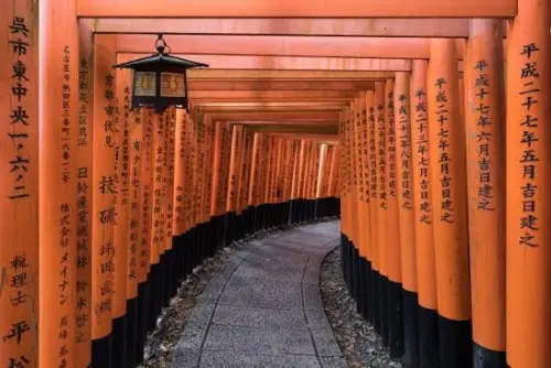 京都景點淪「垃圾場」！伏見稻荷廁所驚見「注射針頭」志工嚇壞