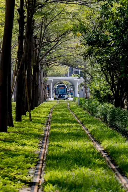 ▲龍貓隧道。（圖／高市府捷運局提供）