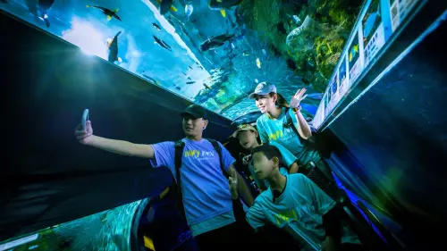 ▲前往探險島水族館近距離欣賞魚群，合影紀錄開心的一刻。（圖／ 遠雄文教公益基金會提供）