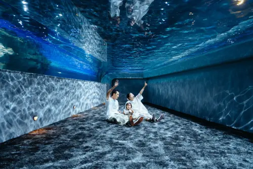 ▲配合秋季旅遊旺季，館方將《海洋幻術師》特展延長至10月31日，展覽以海洋生物的偽裝能力為主題。圖為企鵝區。（圖／海洋館提供）