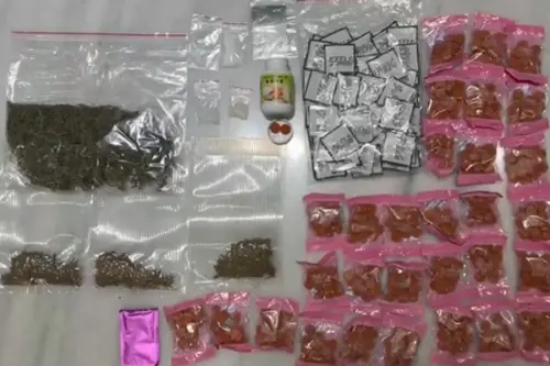 ▲保安警察第三總隊二大隊查獲第二級毒品大麻活株67株及專業培育器材，並起出愷他命、梅錠、毒品咖啡包等各式新興毒品。(圖／保三總隊二大隊提供)
