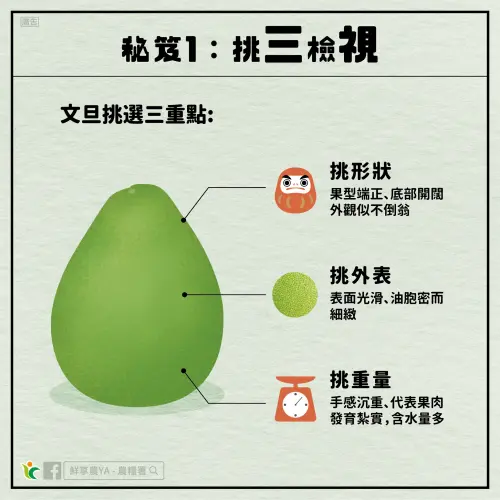 ▲文旦挑選時，可以根據「形狀、外表、重量」3大面向來看。（圖／農業部食農教育資訊整合平台）