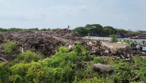 高市府稱永安木材案「烏龍」　柯志恩問：去年發現為何還在燒？