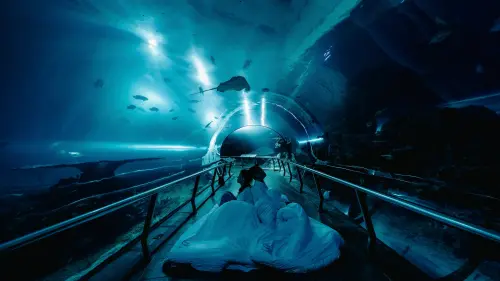 屏東海生館秋季優惠活動接力登場　免費入館、夜宿折扣一次看