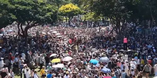 ▲沈伯洋上午赴台中與何欣純走讀。（圖／何欣純直播）
