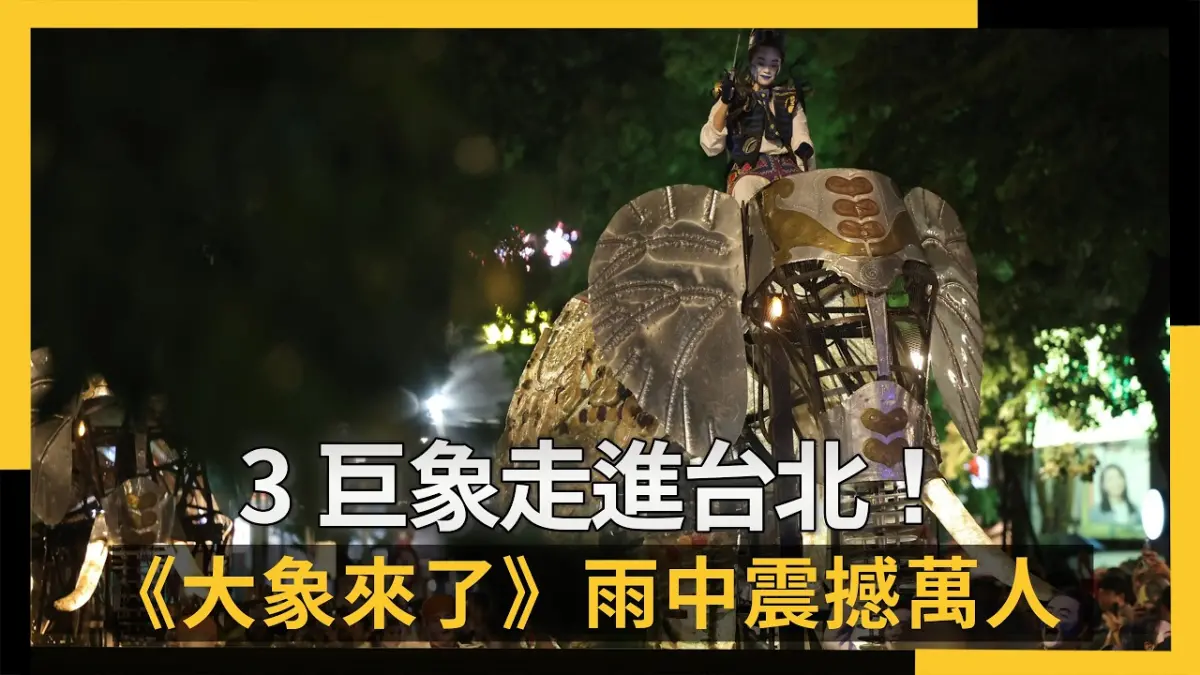 3巨象走進台北！《大象來了》雨中震撼萬人　絕美瞬間速看