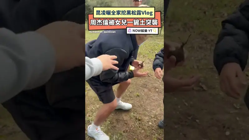 昆凌曬全家挖黑松露Vlog 周杰倫被女兒一鏟土突襲