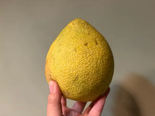 ▲中秋吃完柚子果皮先別急著丟，新鮮柚子皮富含天然精油與香氣，是極佳的家事清潔好物。（圖／記者徐銘穗攝，2026.10.02）